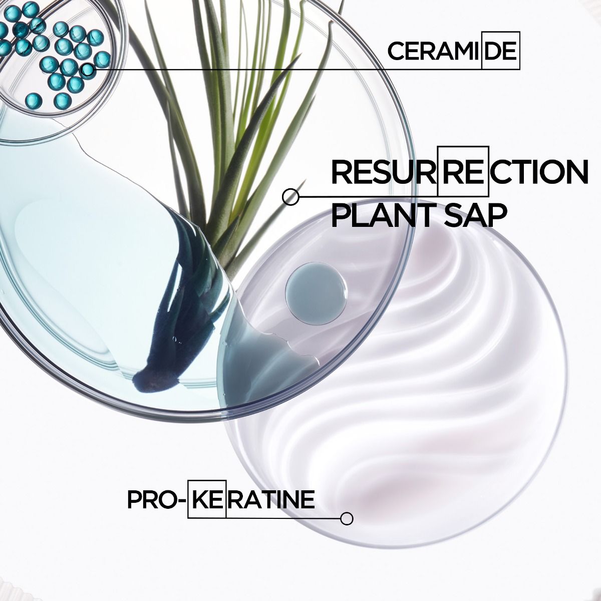 Укрепващ шампоан Kerastase Resistance 250мл - Image 3